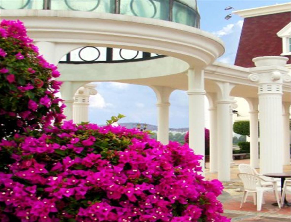 Clifford Golden Lake Hotel Фошань Экстерьер фото